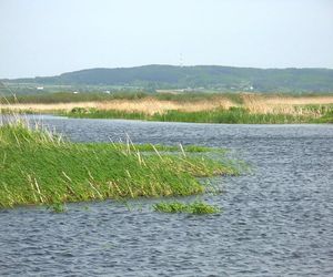 Jezioro 