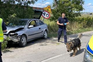 Rąbnął w drzewo, zostawił nieprzytomnego pasażera na pastwę losu.