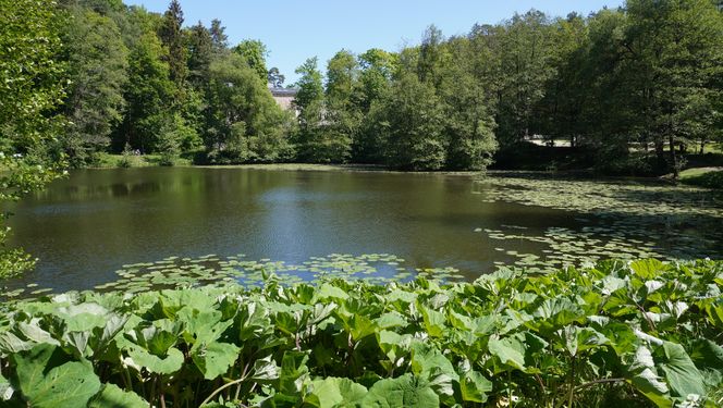 To miasto w Polsce ma najwięcej jezior. Wcale nie znajduje się na Mazurach