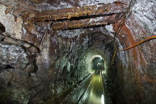 Sztolnia Królowa Luiza