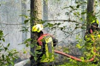 Pożar lasu w Snochowicach