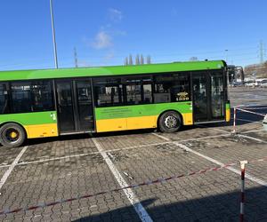 Katarzynki 2023. Prezentacja autobusów w Poznaniu. Zabytkowe autobusy w Poznaniu