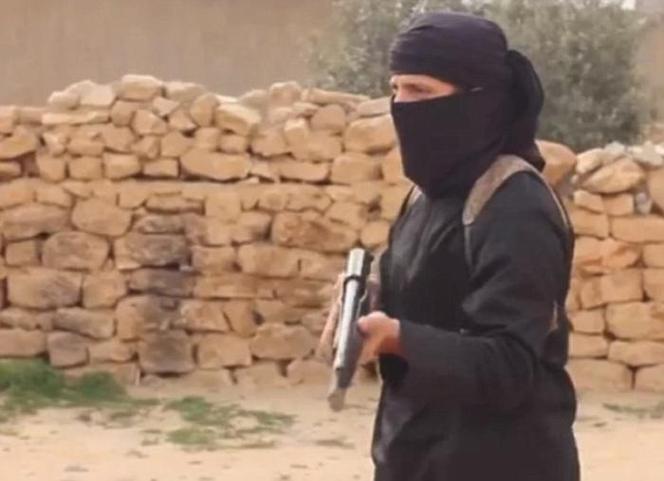 isis, dżihadyści