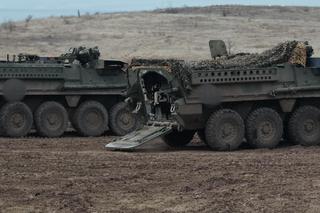 Transportery Stryker na Ukrainie