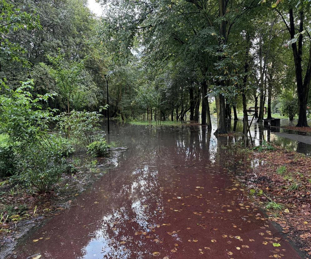 Zalane śląskie miasta