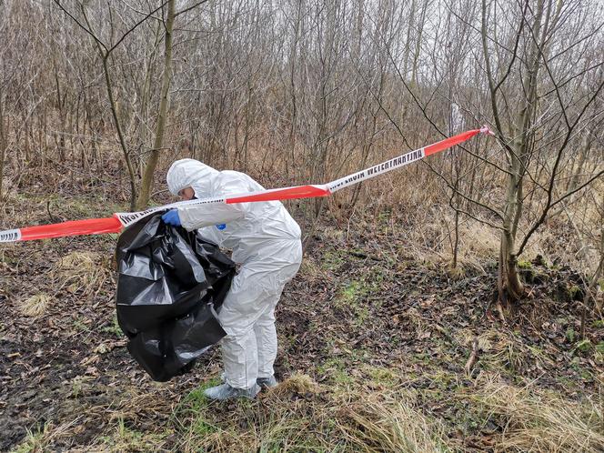 Łódzkie: ZARZĄDZANIE KRYZYSOWE W AKCJI. Około 80. osób przeszukiwało w weekend lasy