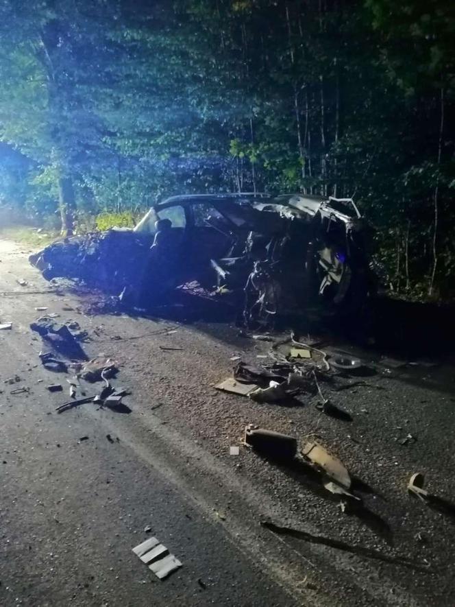 Audi rozdarte na strzępy. 21-latek zginął na miejscu