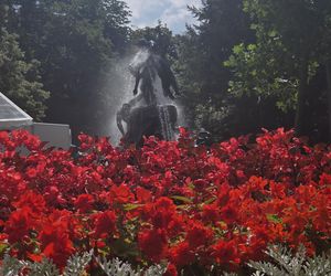 Fontanna „Potop” zachwyca od ponad wieku! To prawdziwa perła Bydgoszczy