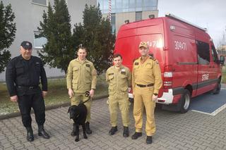 Dwóch poznańskich strażaków wraz z psem Rico ratują ludzi po trzęsieniu ziemi w Turcji