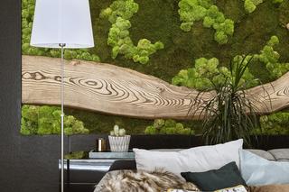 Dom projektu Hola Design na zboczu góry