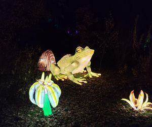 Park iluminacji w Lublinie