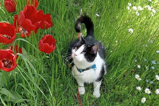 Wiosna zawitała do Wrocławia. Zebraliśmy Wasze zdjęcia pierwszych oznak wiosny, Zobaczcie, jakie piękne!