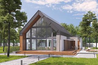 A102cG2 Dom z klimatem wariant V - wizualizacje, plany, rysunek, imponujące aranżacje