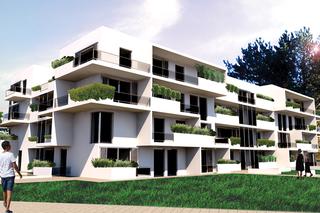 Prace dyplomowe studentek architektury Politechniki Rzeszowskiej