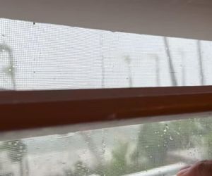 Aleksandra Żebrowska