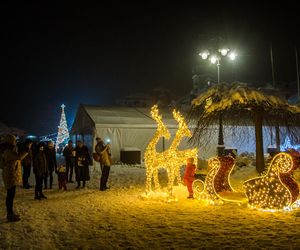 Pszczyński Jarmark Świąteczny w poprzednich latach