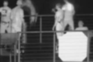 Sosnowiec. Wyrzucili psa do stawu z pomostu