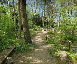 Wiosna w Ogrodzie Botanicznym UKW, czyli spacer wśród zieleni