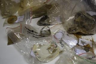 Nietuzinkowe odkrycie na wrocławskich Sołtysowicach. Cenne zabytki na terenie dawnego obozu pracy [ZDJĘCIA]