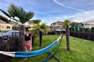 Przed domem państwa Tomczyków na Śląsku, palmy rosną przez cały rok