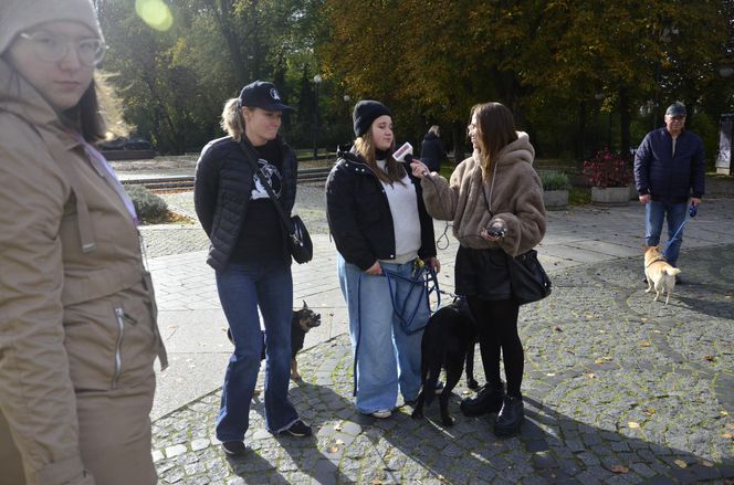 Wielki marsz adopciaków w Radomiu