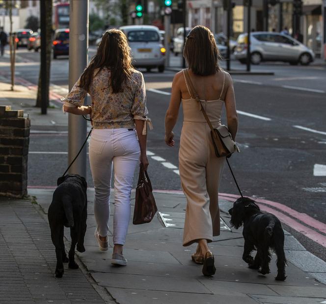 Pippa Middleton w ciąży na spacerze z psami