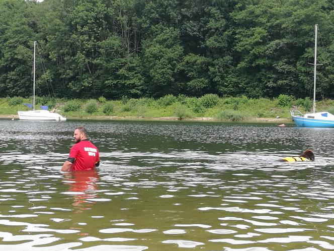 I Festiwal Psów Ratowniczych na plaży miejskiej w Żywcu