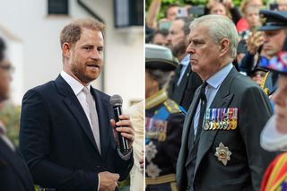 Książę Harry i książę Andrzej pobili się w pałacu?! Szokujące doniesienia