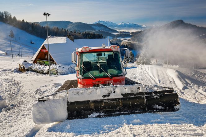 Szczawnica Palenica