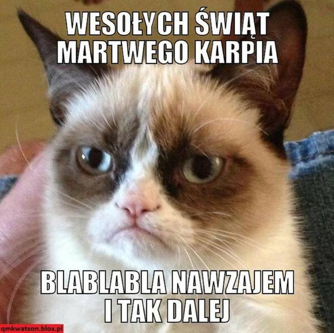 Boże Narodzenie 2021 - najlepsze świąteczne MEMY