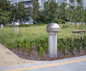 1000 drzew, 100 tysięcy krzewów i ogród zmysłów