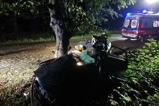 Tragiczny wypadek pod Braniewem. Audi wbiło się w drzewo. Nie żyje 19-latek [ZDJĘCIA]