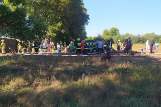 Katastrofa białoruskiego autokaru pod Mińskiem Mazowieckim. Są ranni