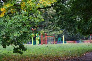 Plac zabaw w Parku nad Jasieniem zostanie rozbudowany