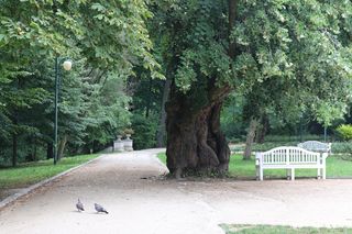 Jest coraz mniej Polaków. GUS: ubyło 158 tysięcy mieszkańców