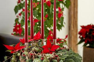 Wieniec adwentowowy na stół ze świeczkami i gwiazdą betlejemską