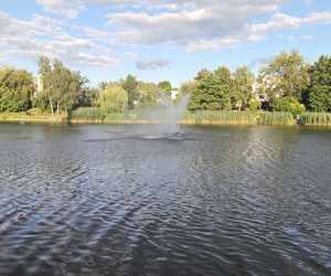 Zielona perła Bartodziejów. Odkryj uroki bydgoskiego Balatonu