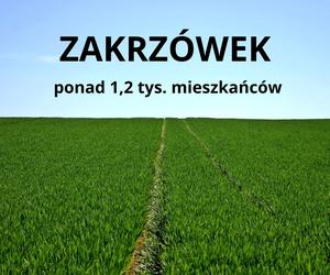 Te miejscowości w pow. kraśnickim mają największą liczbę mieszkańców