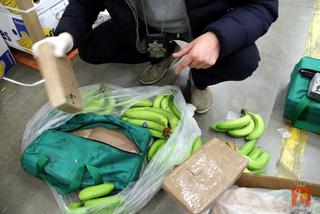 Kokaina ukryta w bananach