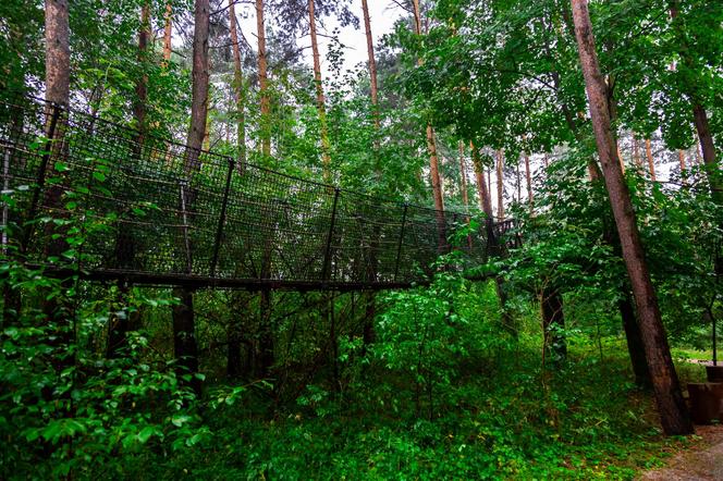 Spacer w koronach drzew w Pomiechówku – ścieżka nad ziemią