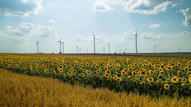 Farma wiatrowa Iłża Pakosław