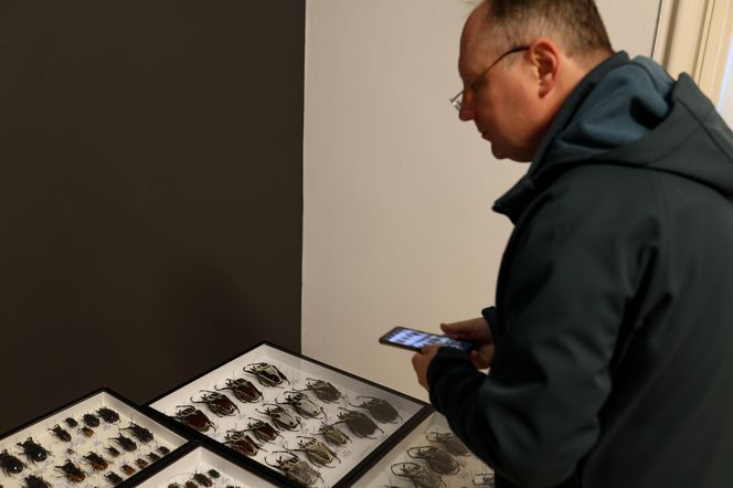 I Międzynarodowy Dzień Wymiany Owadów i Targi Entomologiczne w Bytomiu