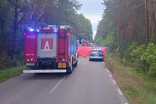 Zderzenie auta z łosiem zakończyło się tragedią