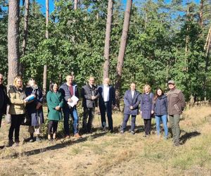 Powstaje miejsce pamięci na Mazurach. To tam odkryto prochy więźniów obozu koncentracyjnego Soldau