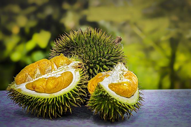 Durian - najdroższy owoc na świecie