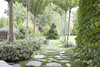 ścieżka wyłozona kamieniem naturalnym w aranżacji ogrodu