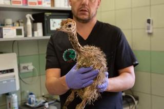 W Fundacji Ada nazywają Tadzia czajnikiem