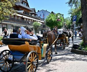 Arabowie pokochali Zakopane. Kelnerka zauważyła ciekawą rzecz. Zaskakujące!