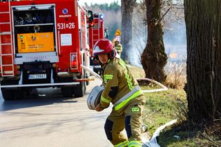 Pod Ostródą wydobywał się ogień z ziemi! Ewakuowano 30 psów [ZDJĘCIA]