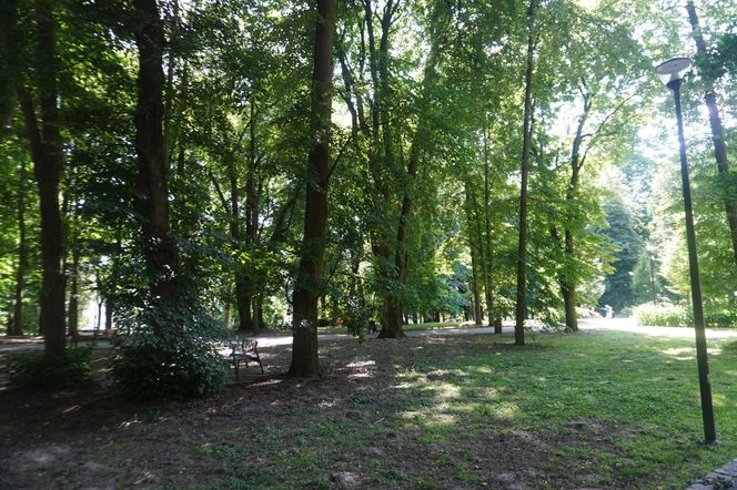 Park Miejski w Sandomierzu